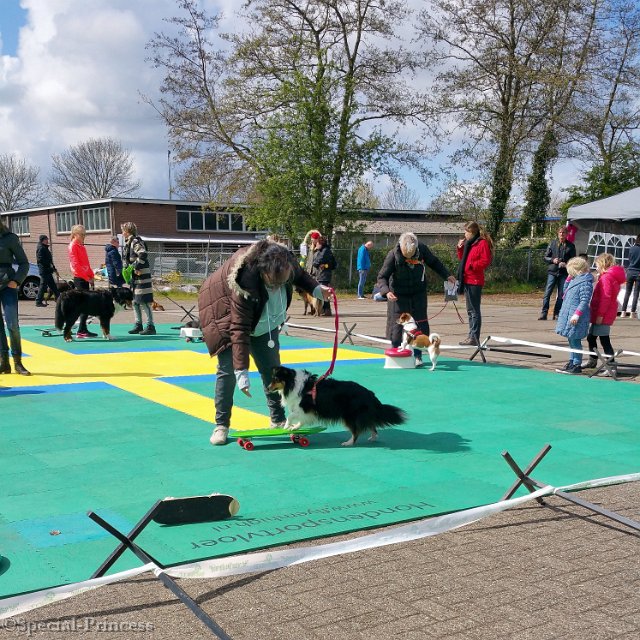 Skateboarden met Eevee